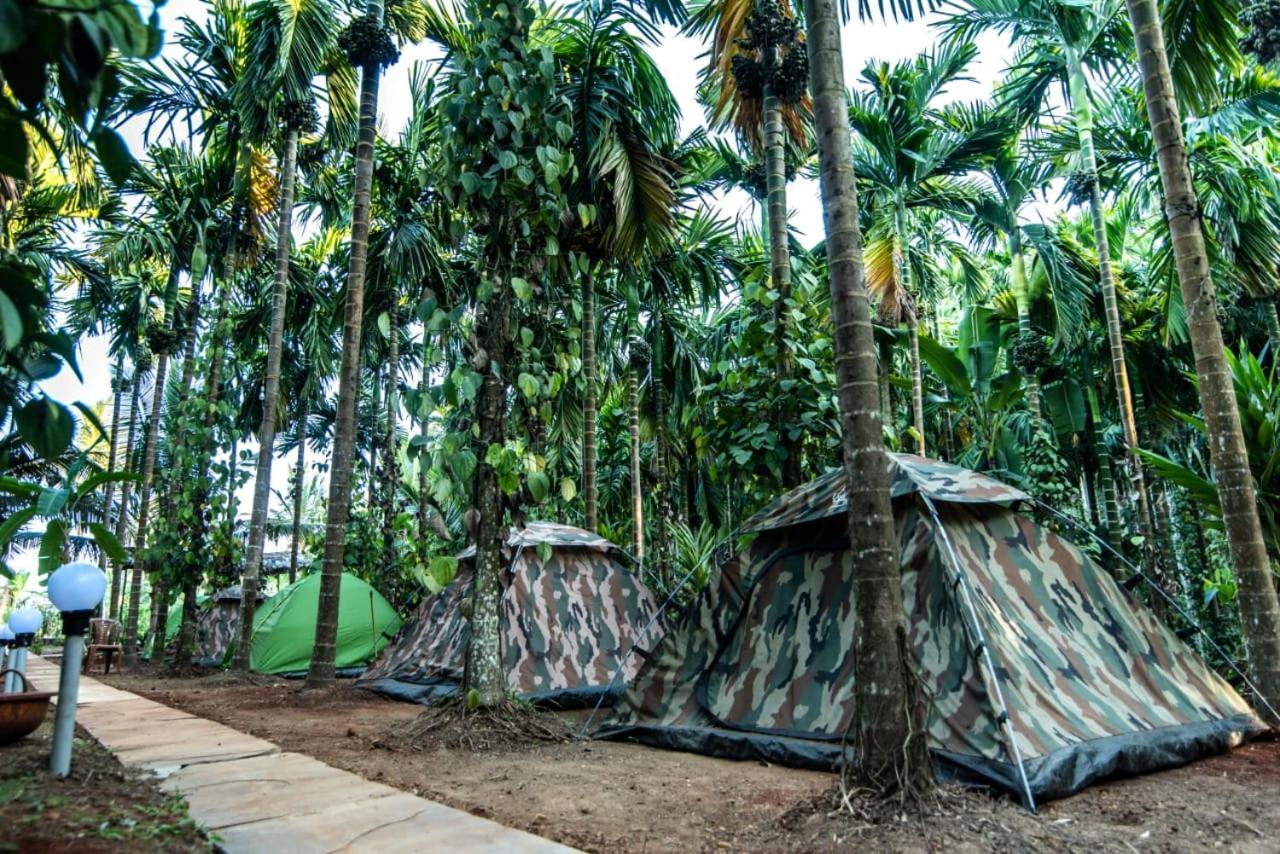 Dandeli Goldfinch Resort Bagian luar foto